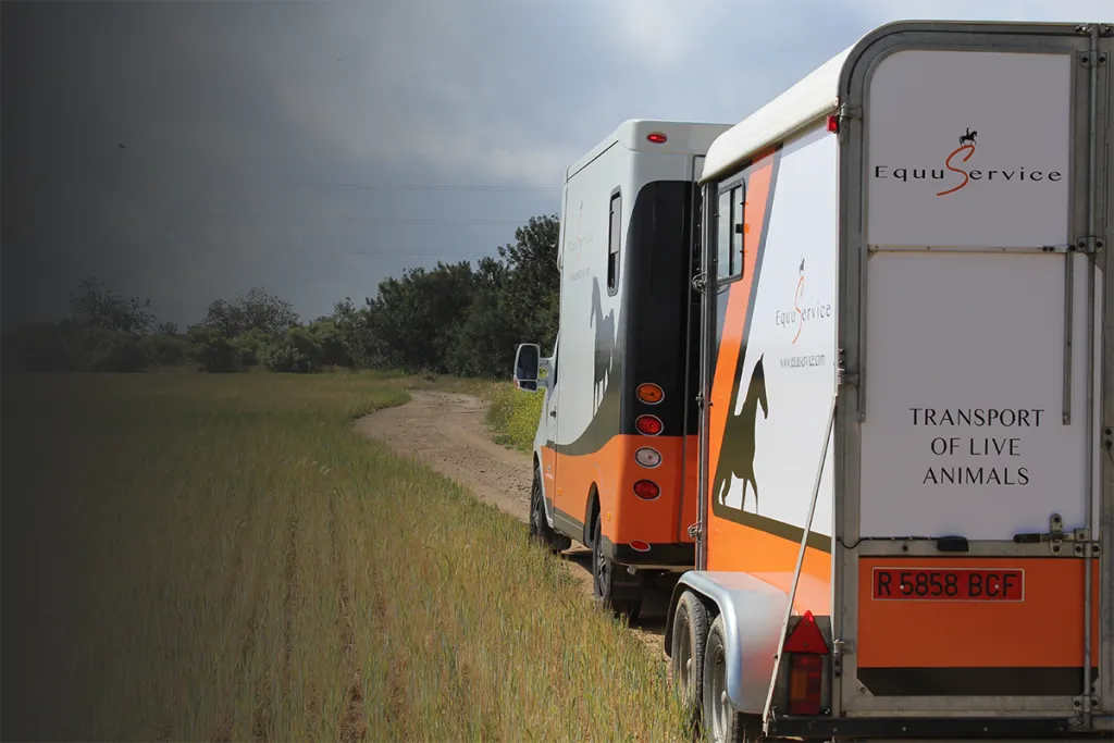 Remolque moderno de transporte de caballos Equuservice
