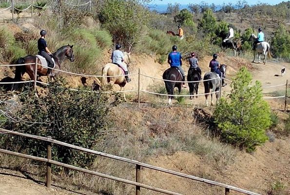 Turismo ecuestre y eventos - Servicio de Equuservice